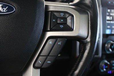 2019 Ford Super Duty F-250 SRW Platinum