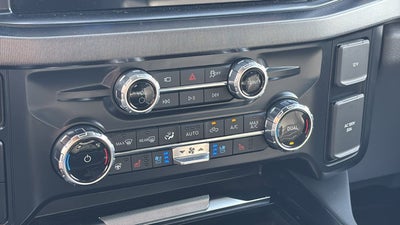 2025 Ford Super Duty F-250 SRW F-250® Platinum®