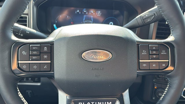 2025 Ford Super Duty F-250 SRW F-250® Platinum®