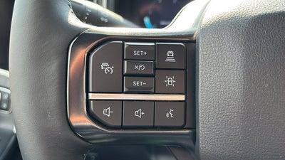 2025 Ford Super Duty F-250 SRW F-250® Platinum®