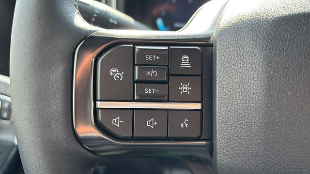 2025 Ford Super Duty F-250 SRW F-250® Platinum®