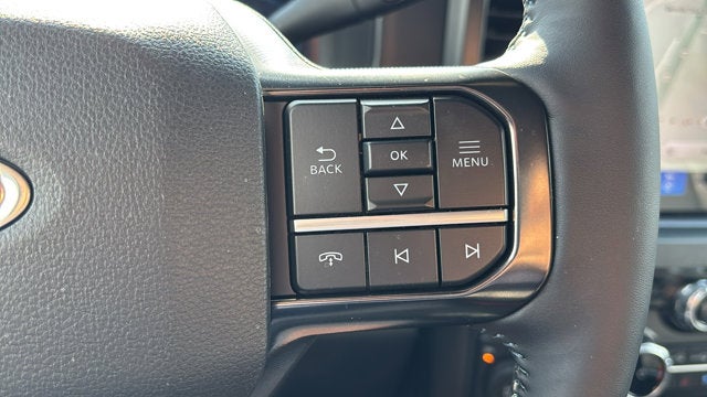 2025 Ford Super Duty F-250 SRW F-250® Platinum®