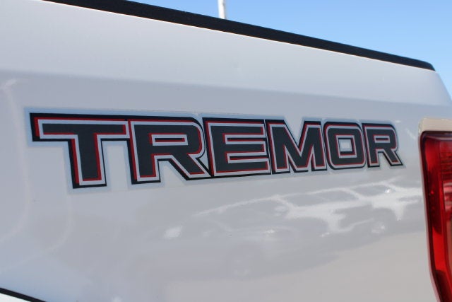 2020 Ford F-250SD Platinum
