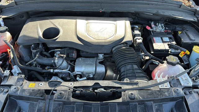 2024 Dodge Hornet R/T