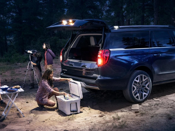 2026 Ford Expedition All terrain